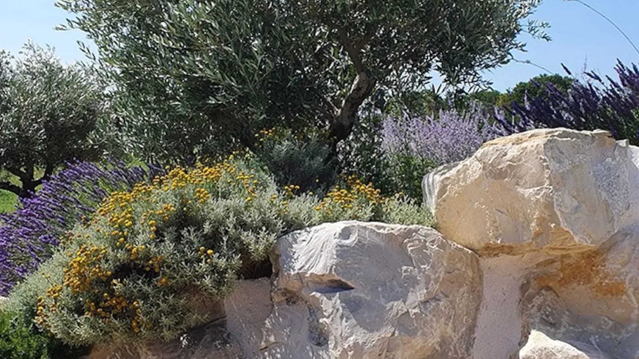 Photo of Outdoor in Rochegude