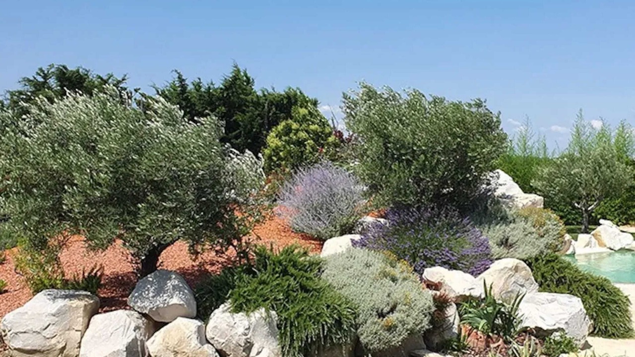Photo of Outdoor in Rochegude