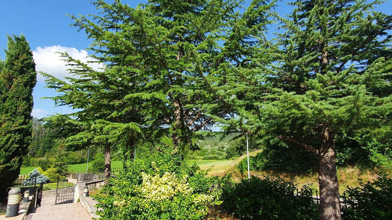Photo of Outdoor in Novaki Pazinski