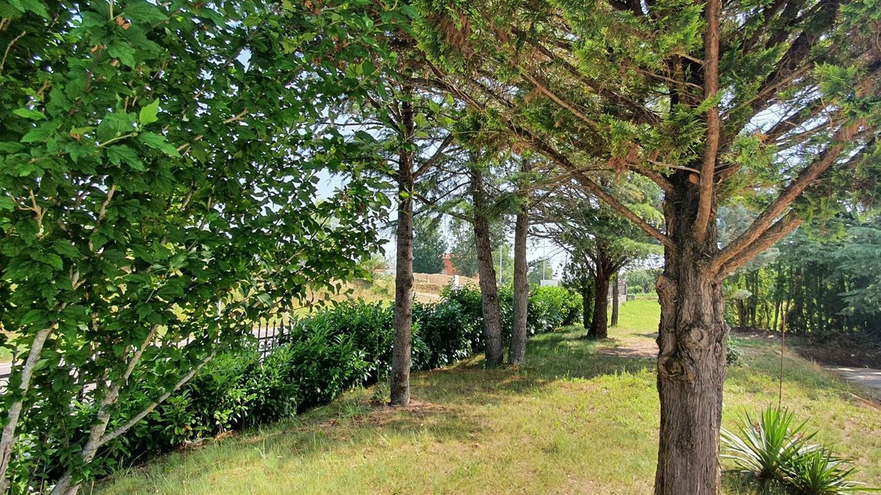 Photo of Outdoor in Novaki Pazinski