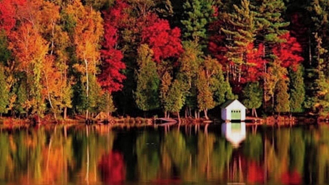 Photo of Others in Laconia