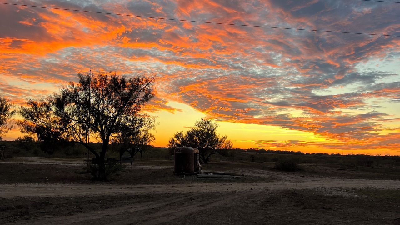 Photo of Others in Carrizo Springs