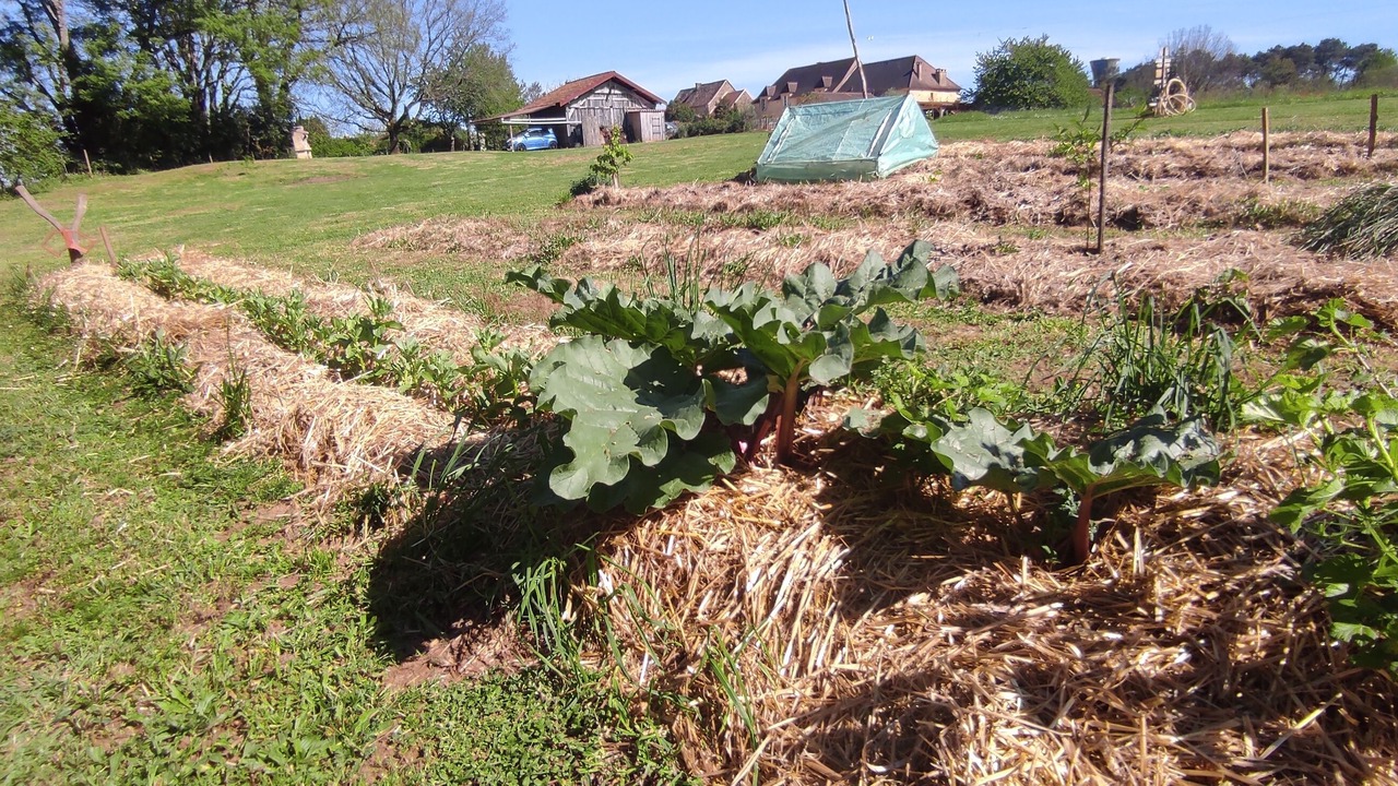 Photo of Outdoor in Saint-Avit-Senieur
