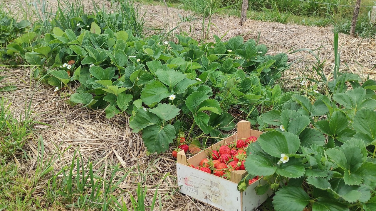 Photo of Outdoor in Saint-Avit-Senieur
