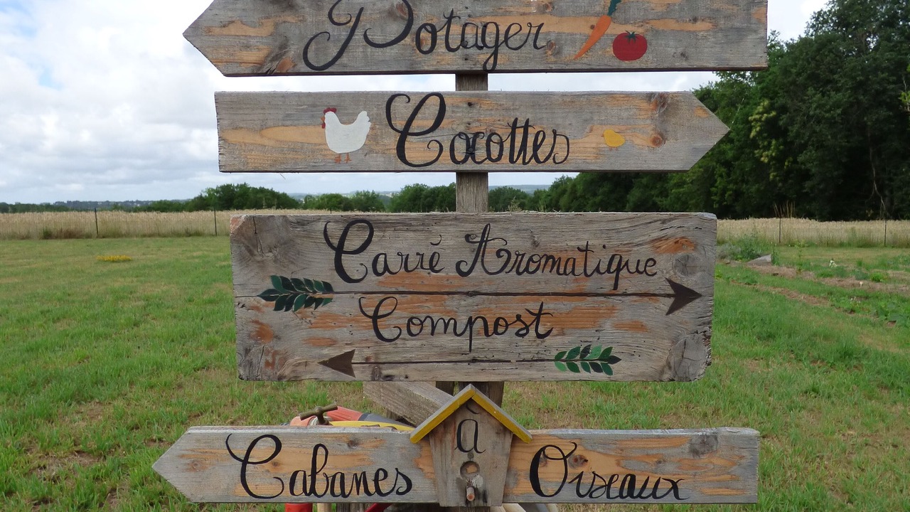 Photo of Outdoor in Saint-Avit-Senieur