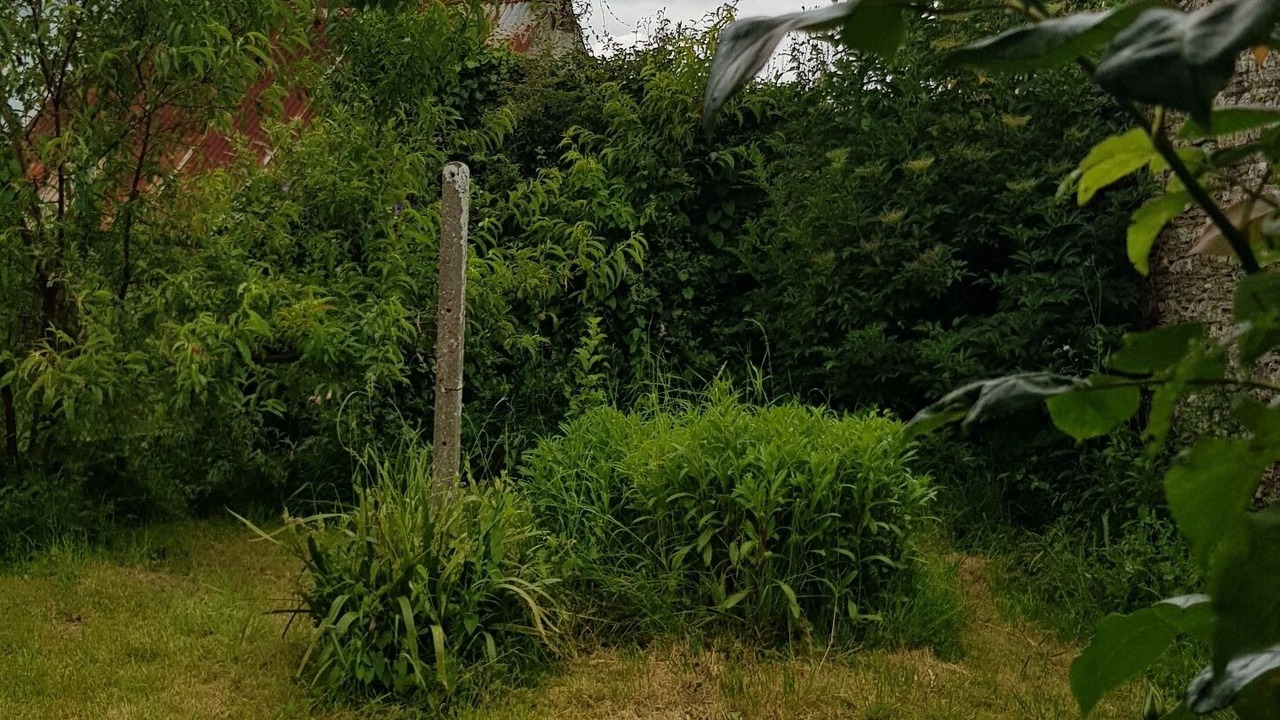 Photo of Outdoor in Saint-Dolay