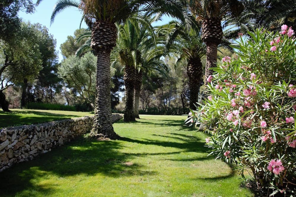 Photo of Outdoor in Cubelles