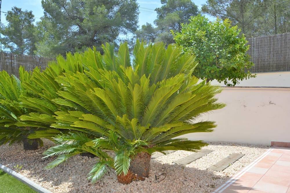 Photo of Outdoor in Sant Pere de Ribes