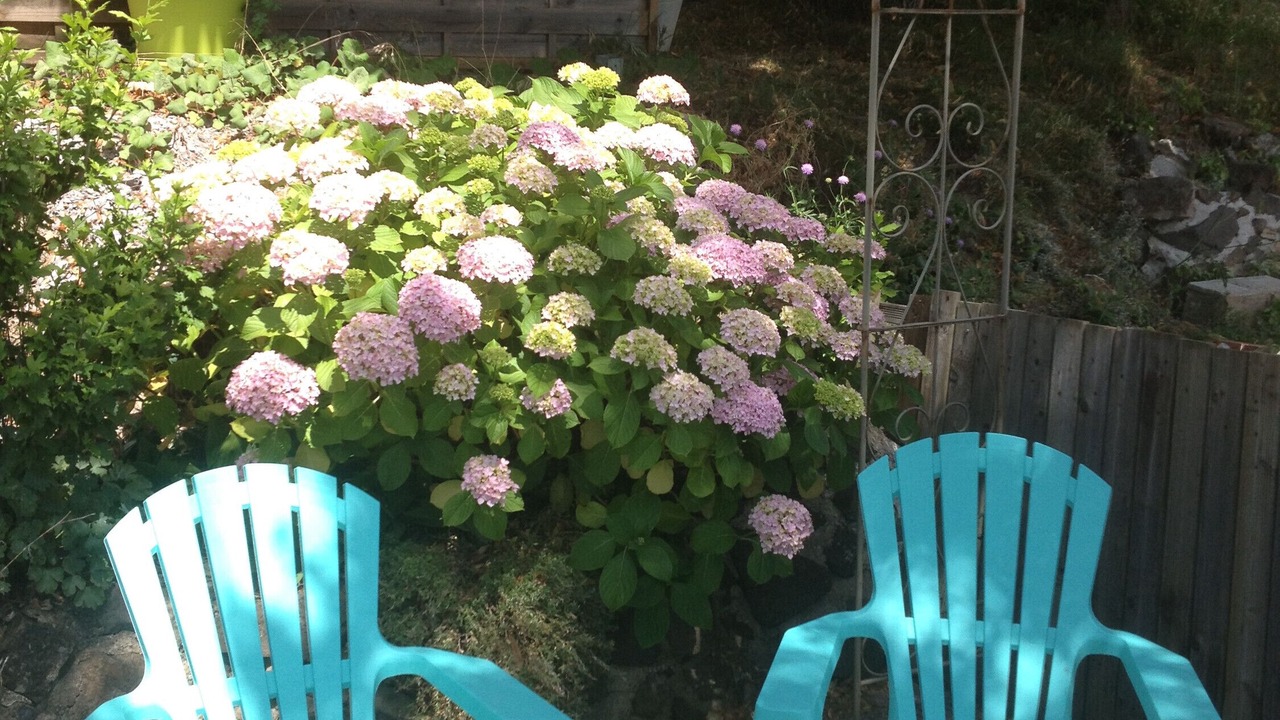 Photo of Outdoor in Saint-Priest