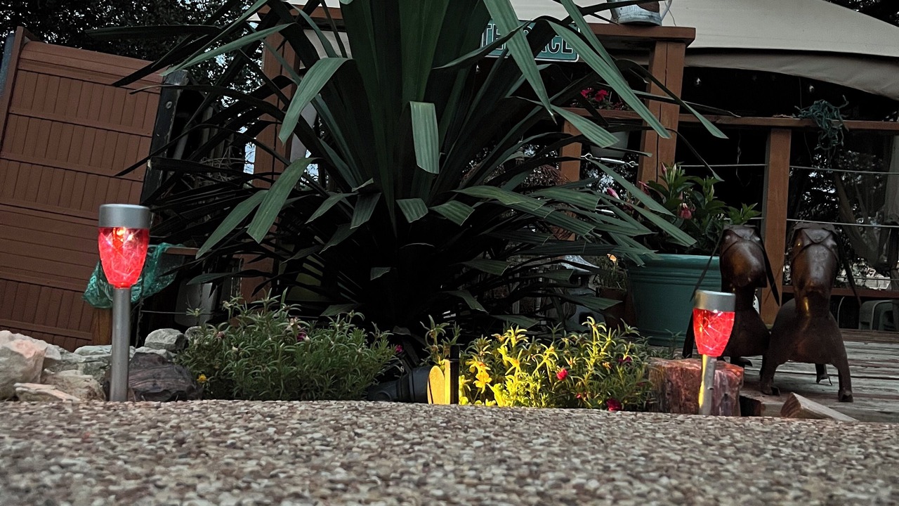 Photo of Outdoor in Hewitt