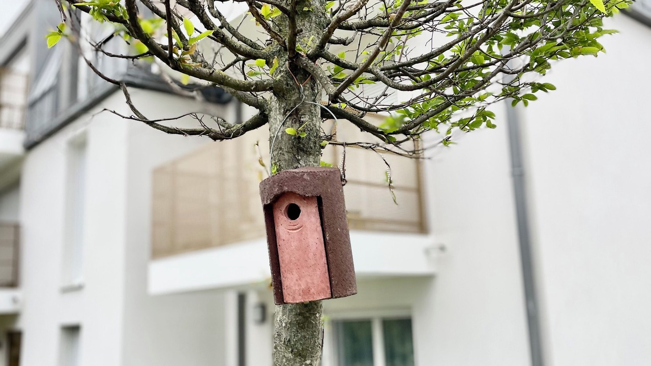 Photo of Outdoor in Argenteuil