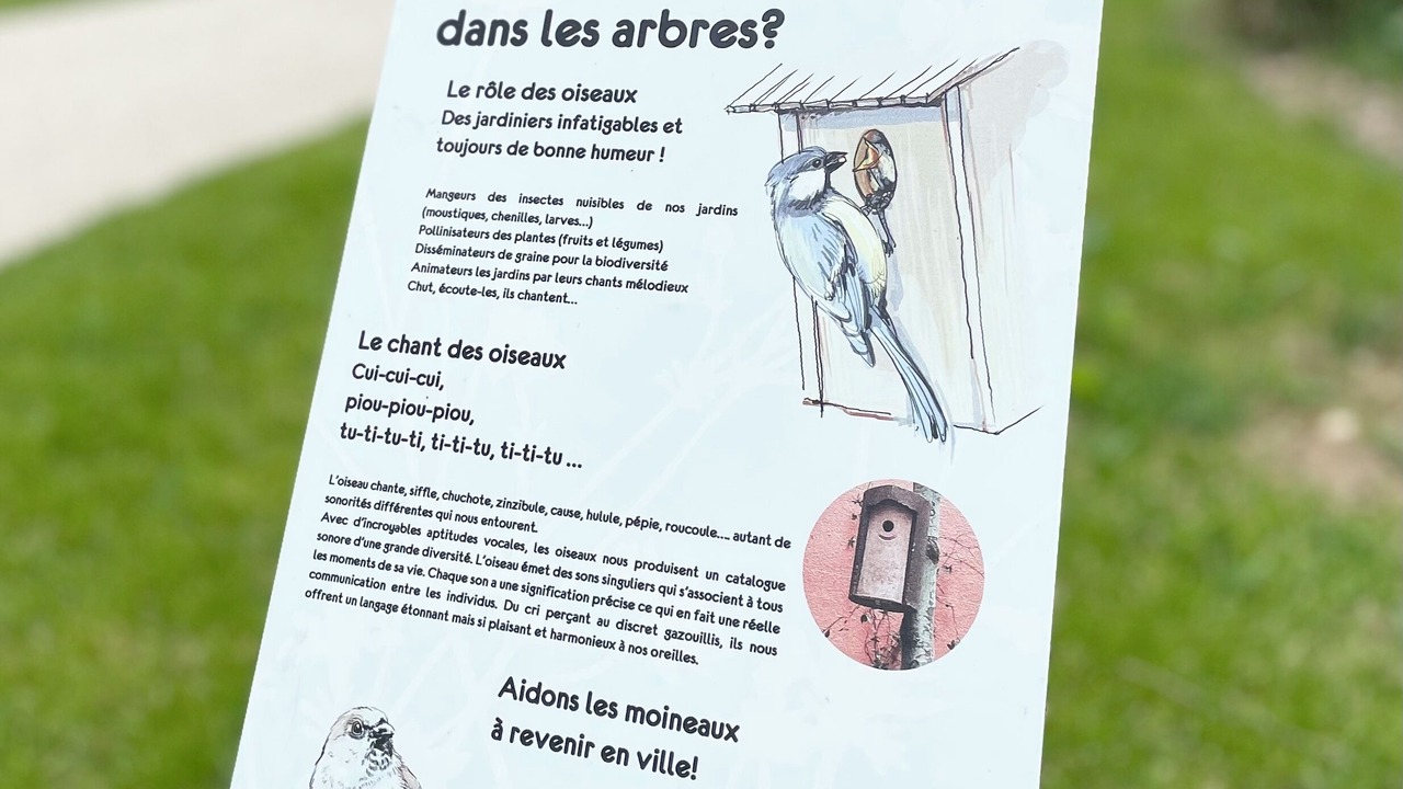 Photo of Others in Argenteuil