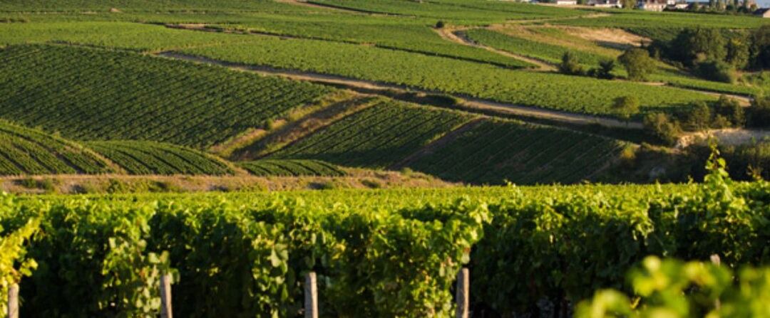 Photo of Outdoor in Mige