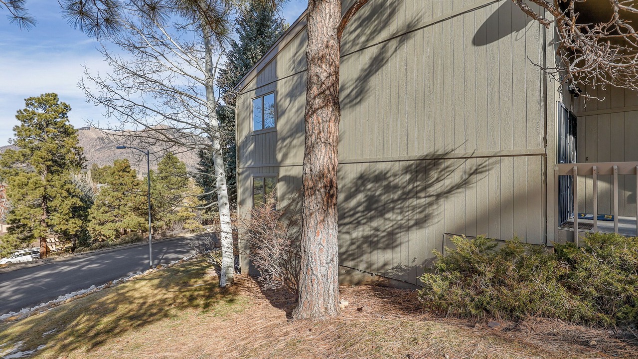 Photo of Outdoor in Flagstaff