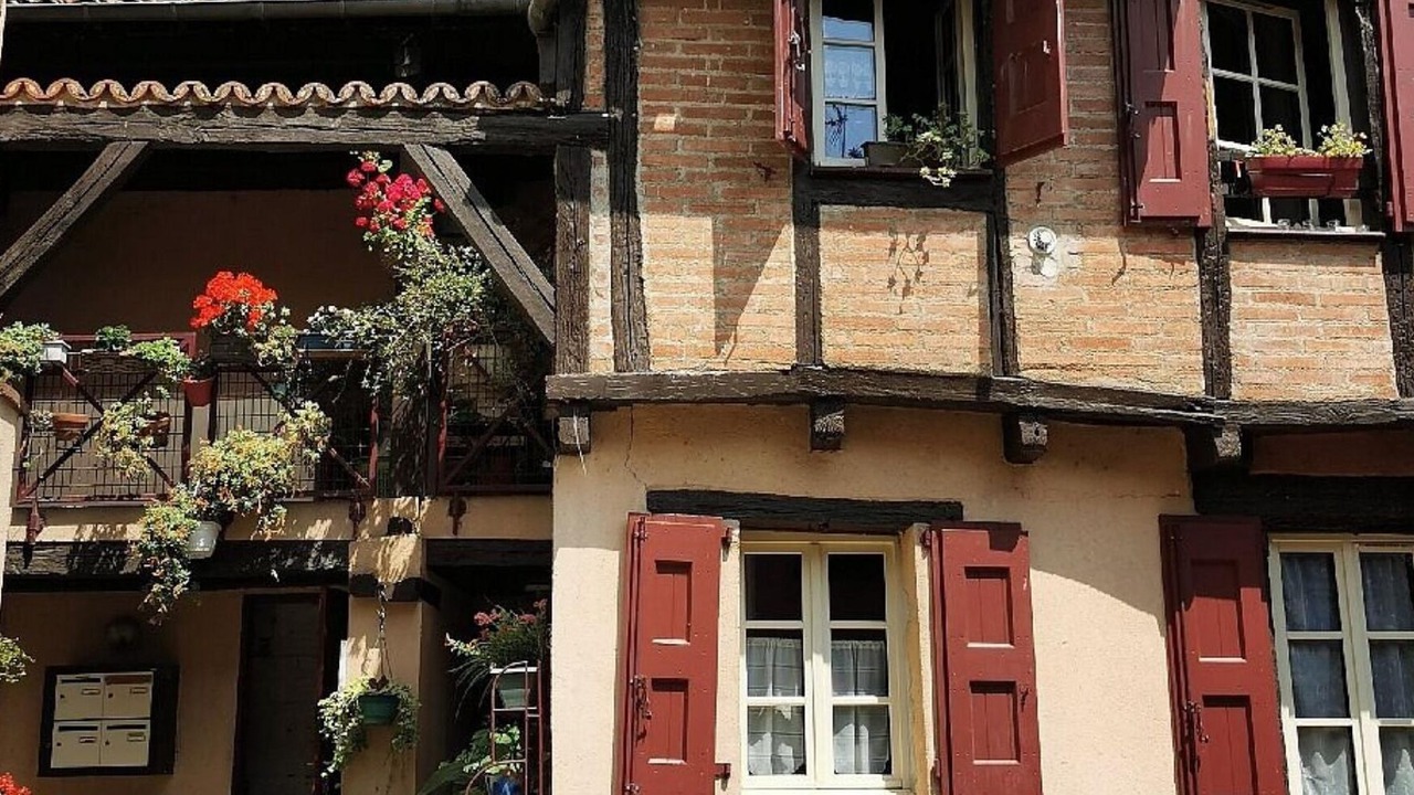 Photo of Others in Albi
