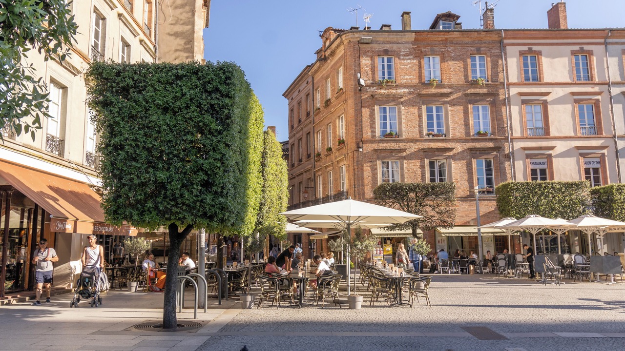 Photo of Others in Albi