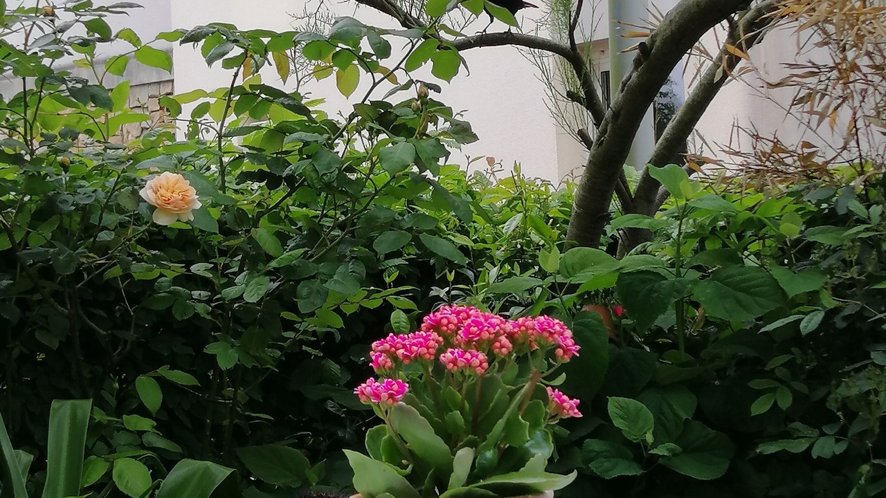 Photo of Outdoor in Douvres-la-Delivrande