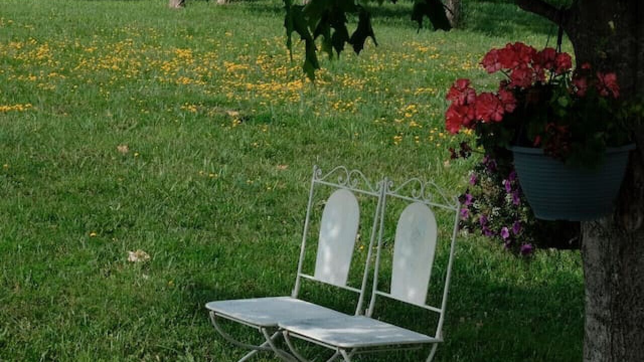 Photo of Outdoor in Meaford