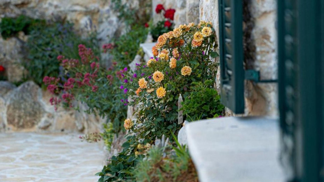 Photo of Outdoor in Drnis