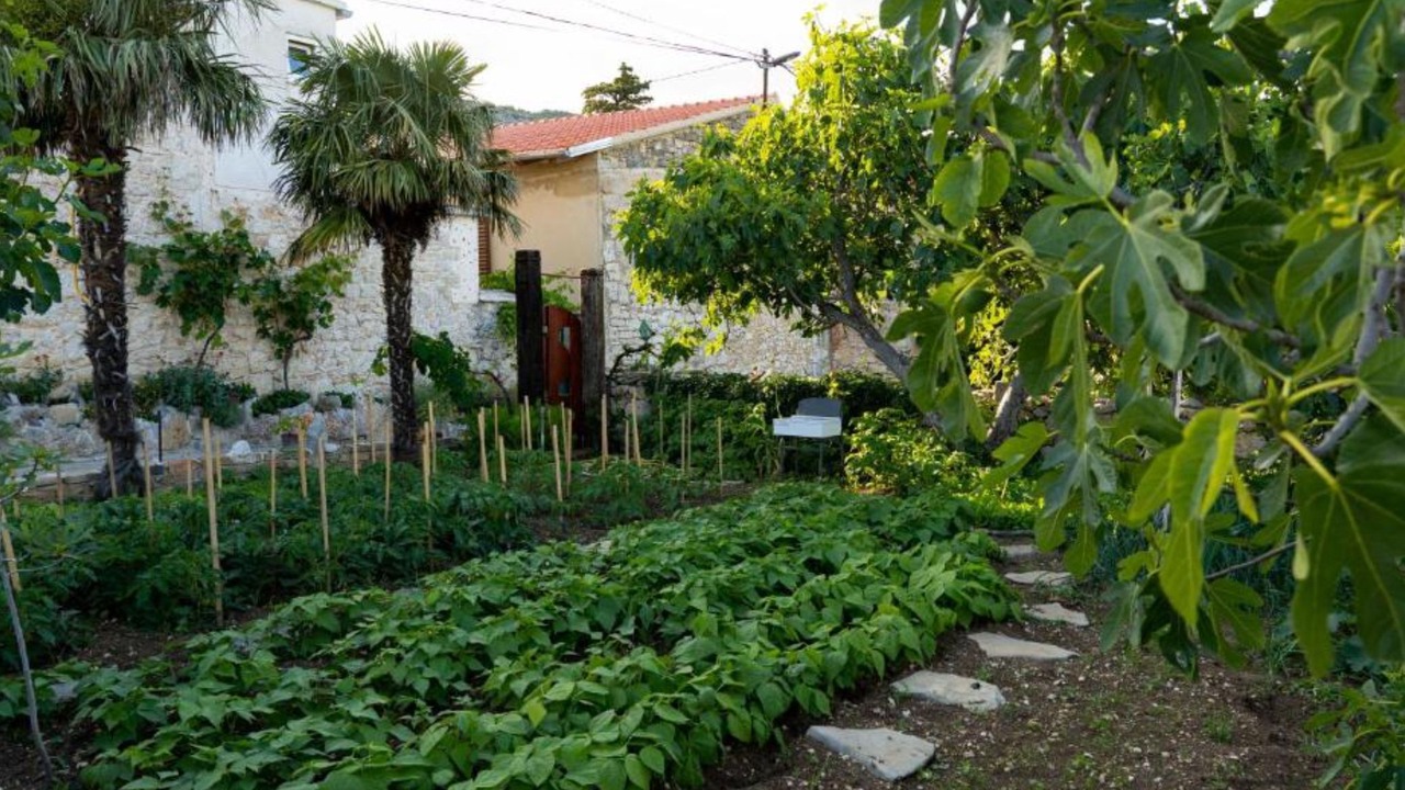 Photo of Outdoor in Drnis
