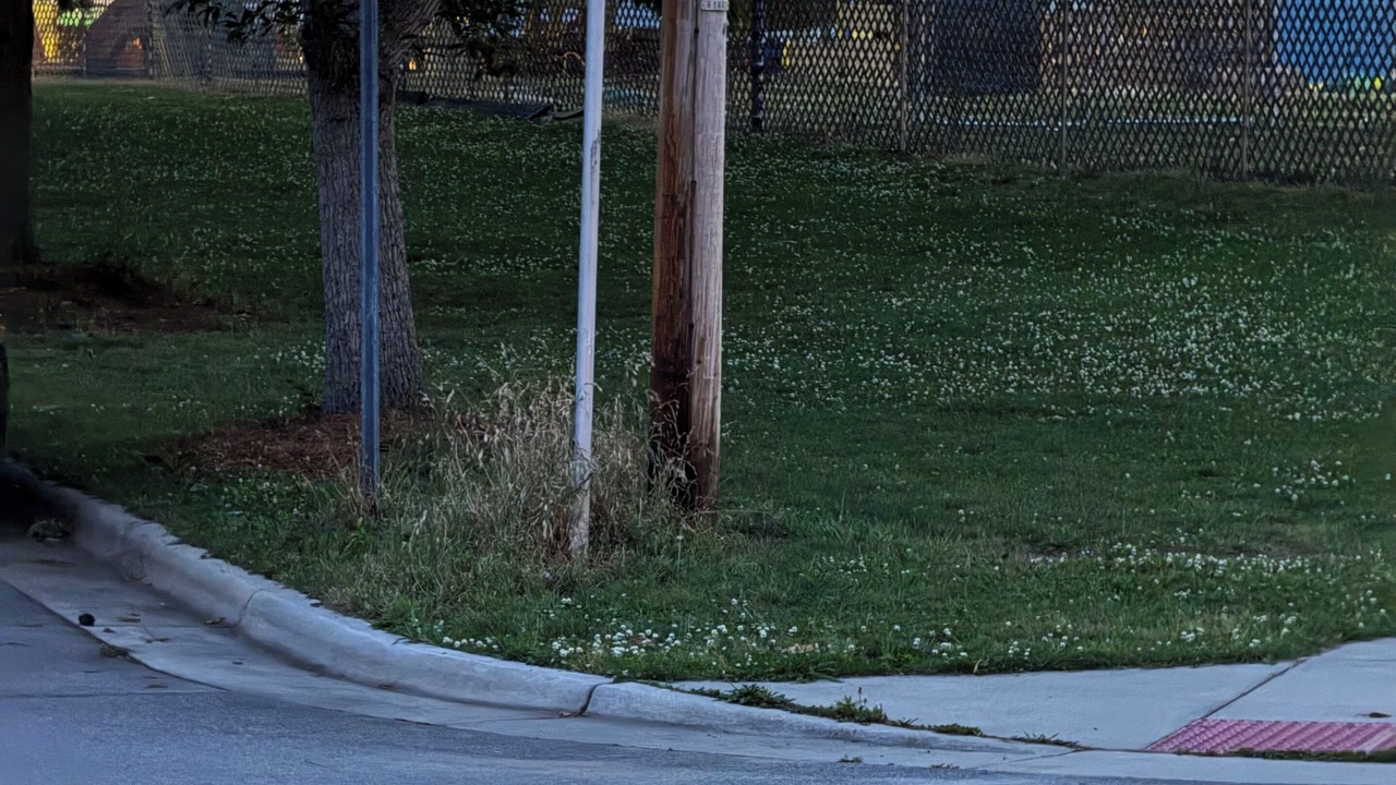 Photo of Outdoor in Wilson