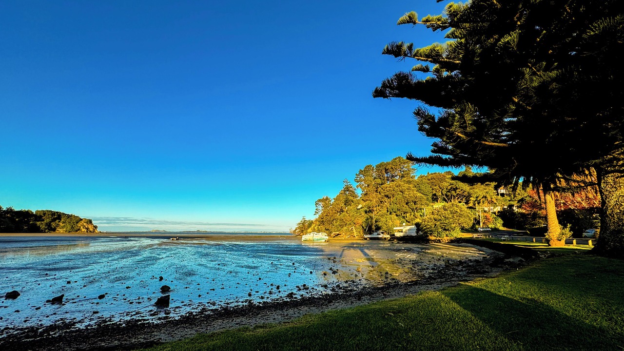 Photo of Outdoor in Laingholm