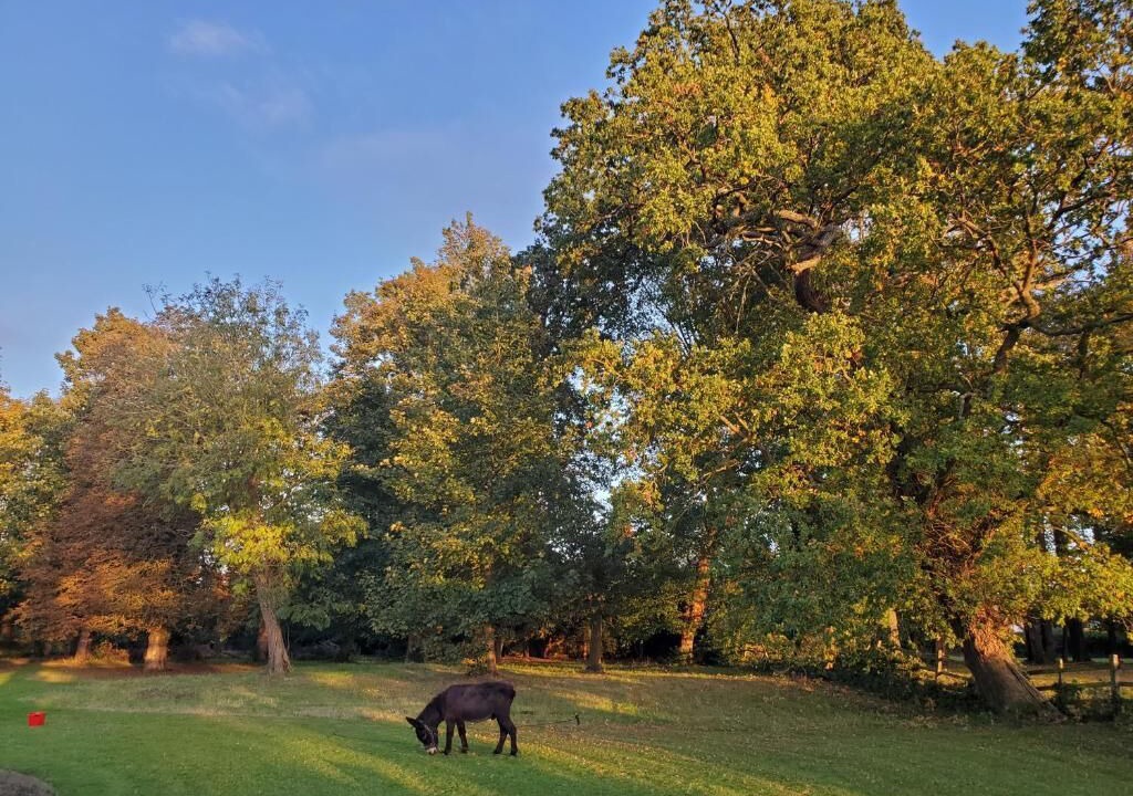 Photo of Others in Tatenhill