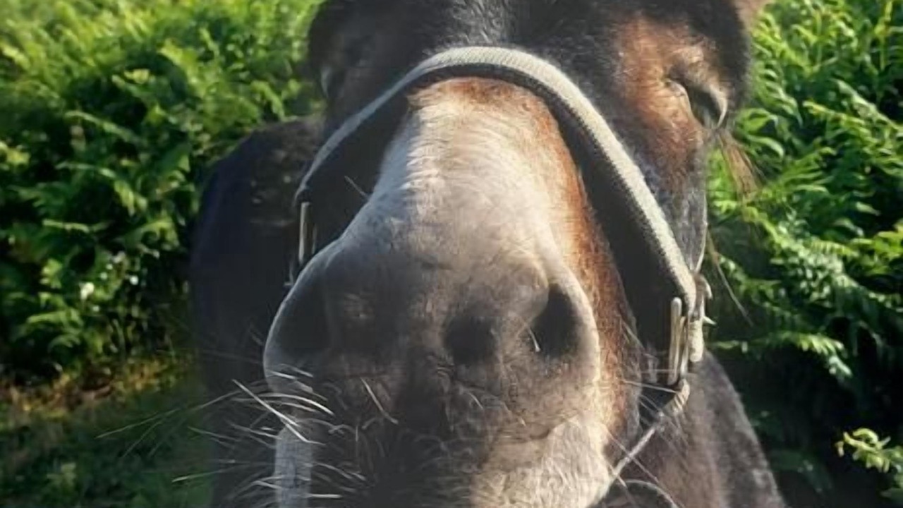 Photo of Outdoor in Acresford