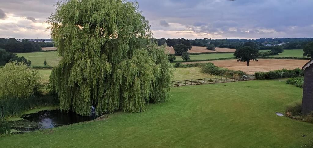 Photo of Others in Tatenhill