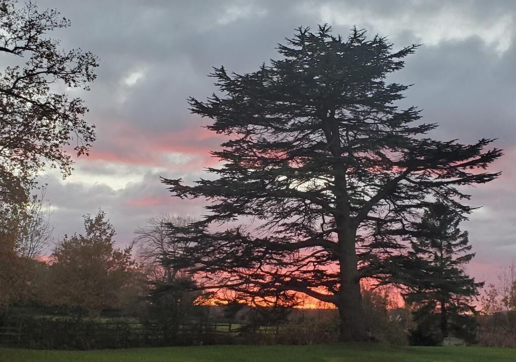 Photo of Others in Acresford