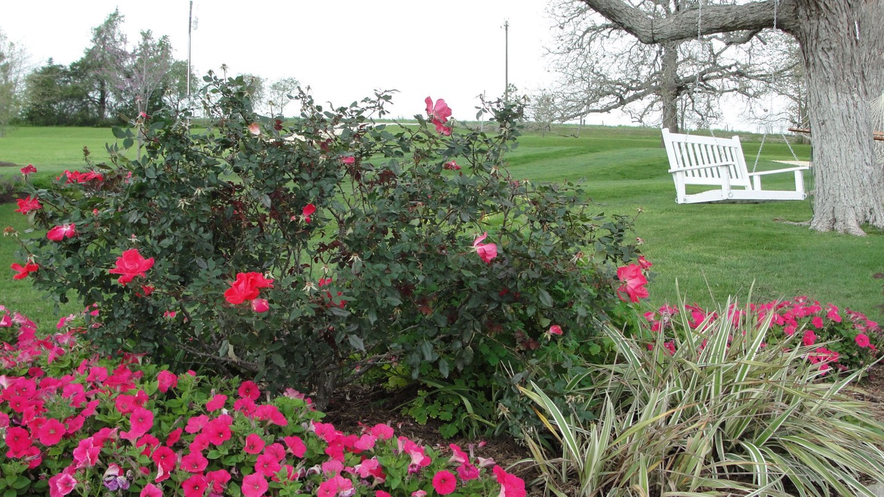 Photo of Outdoor in Brenham