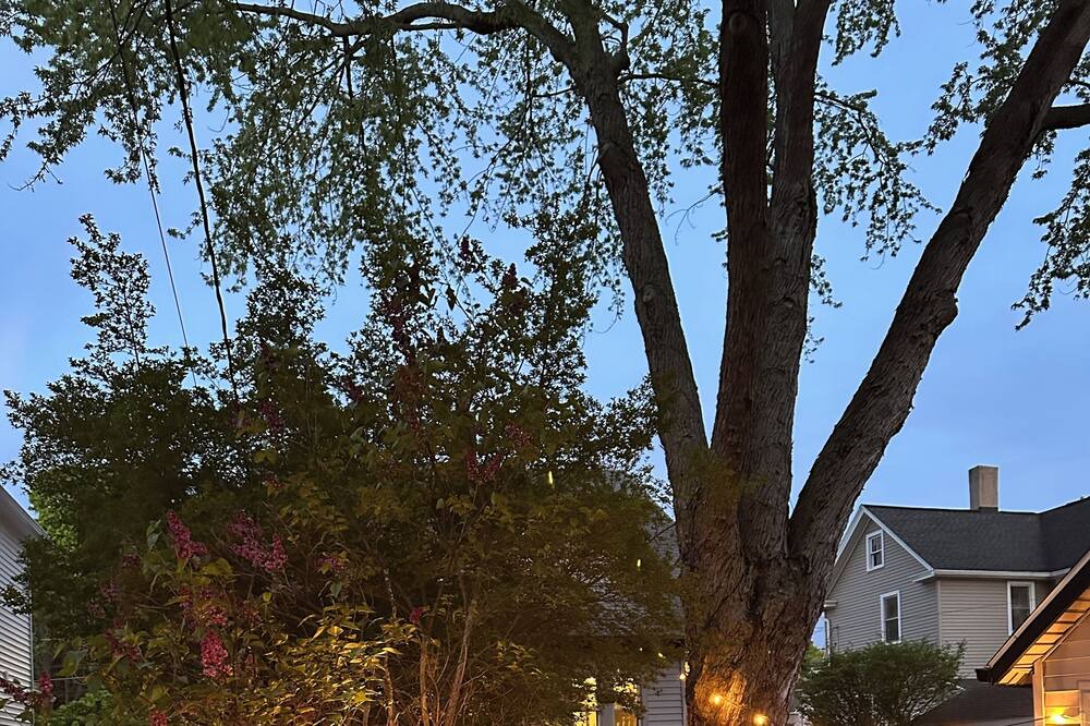 Photo of Outdoor in East Rochester