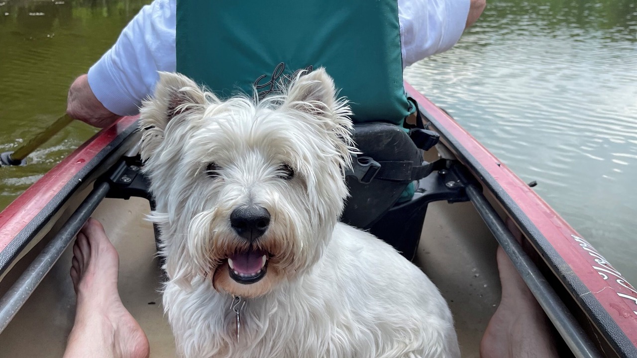 Photo of Others in Skowhegan