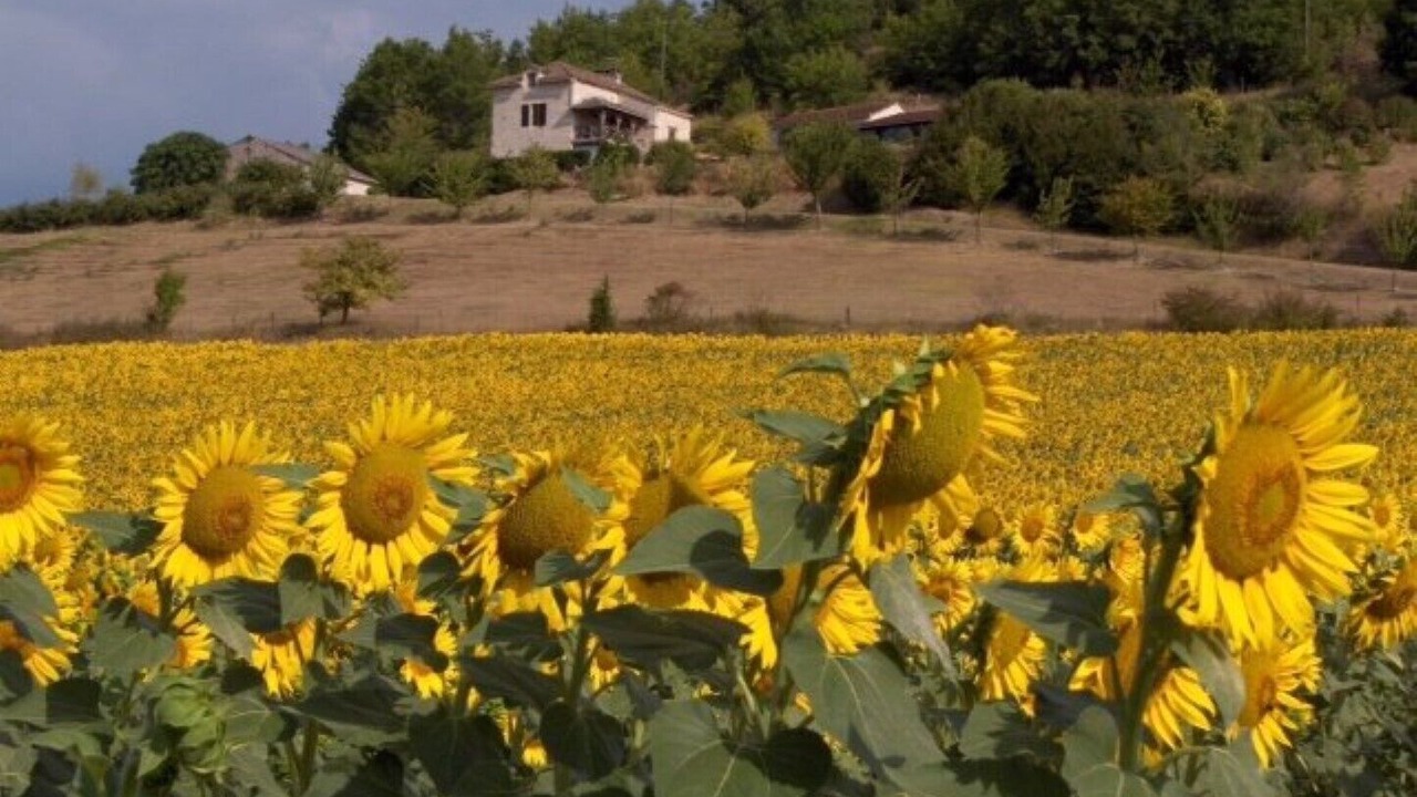 Photo of Outdoor in Sainte-Alauzie