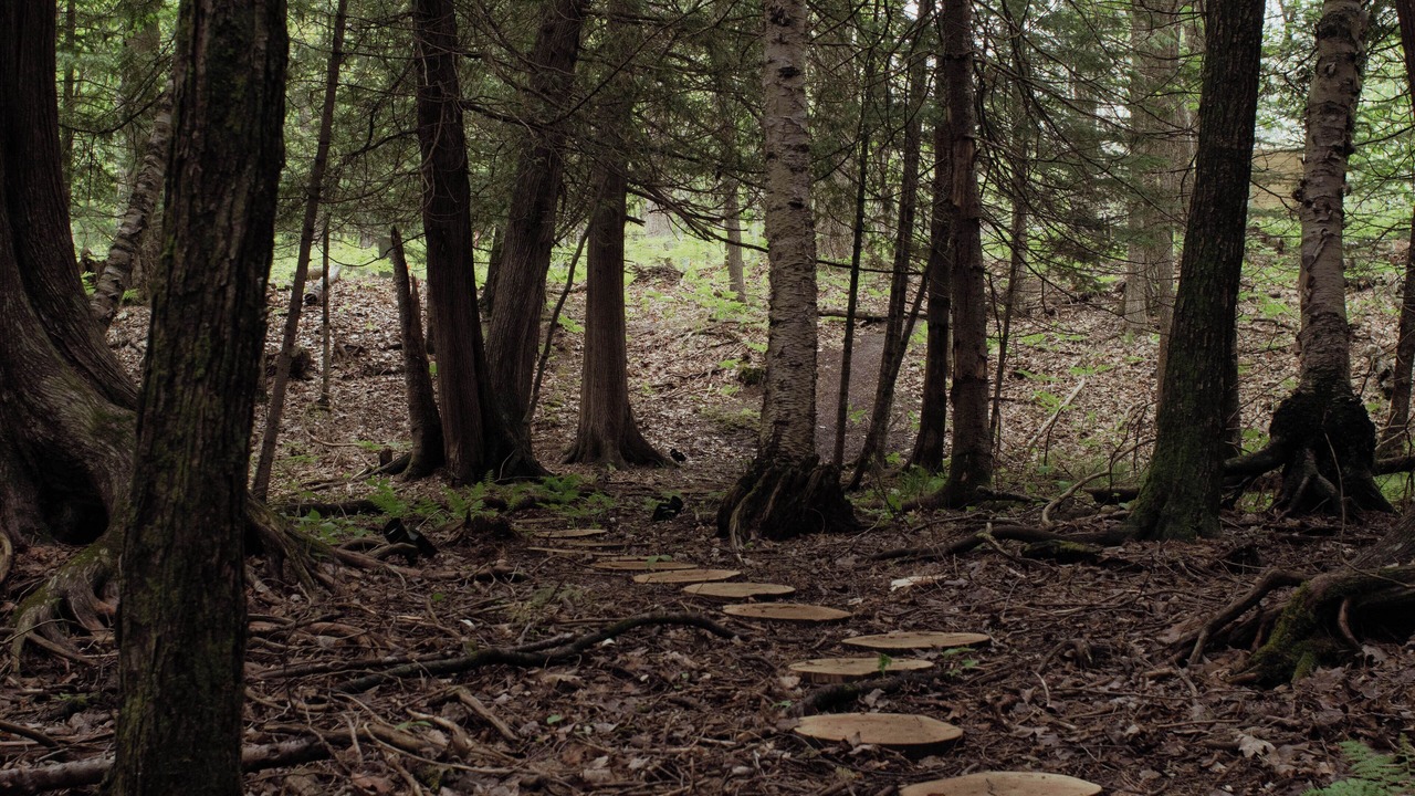 Photo of Others in Cheboygan County