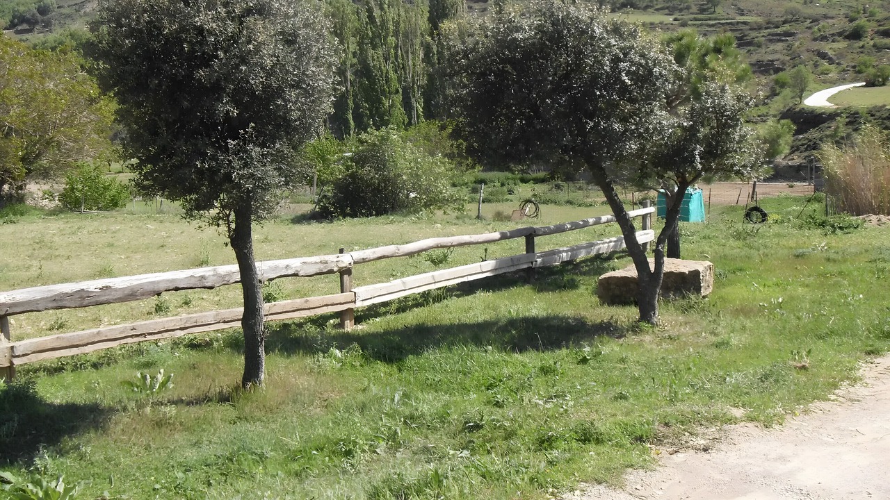 Photo of Others in Morella