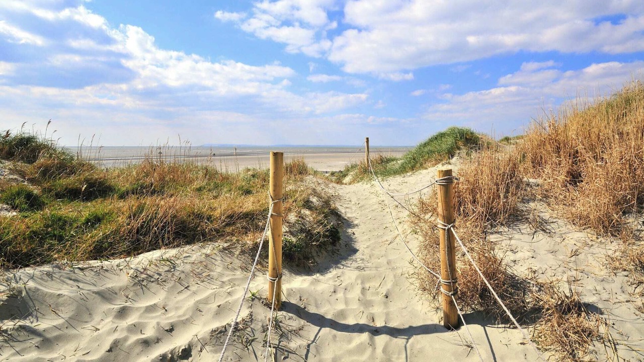 Photo of Others in Chichester