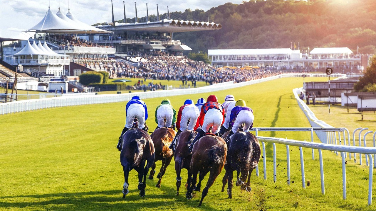 Photo of Others in Chichester