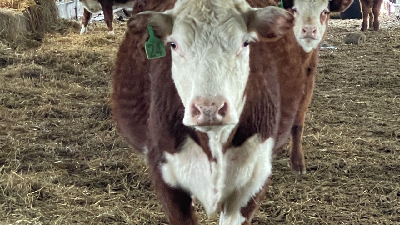 Photo of Outdoor in Old Lyme