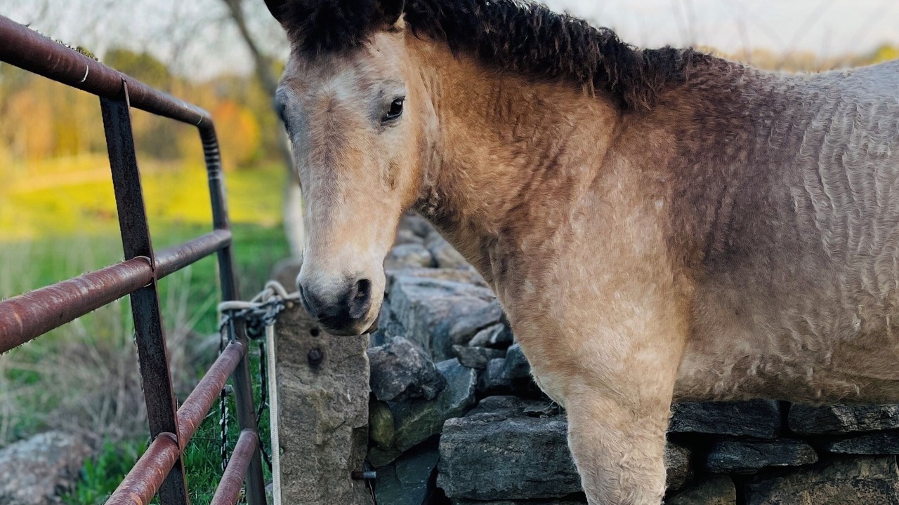 Photo of Others in Old Lyme