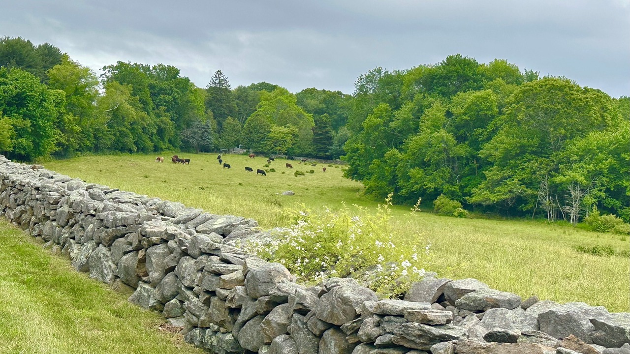 Photo of Outdoor in Old Lyme