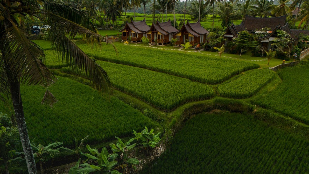 Photo of Outdoor in Pejeng Kawan