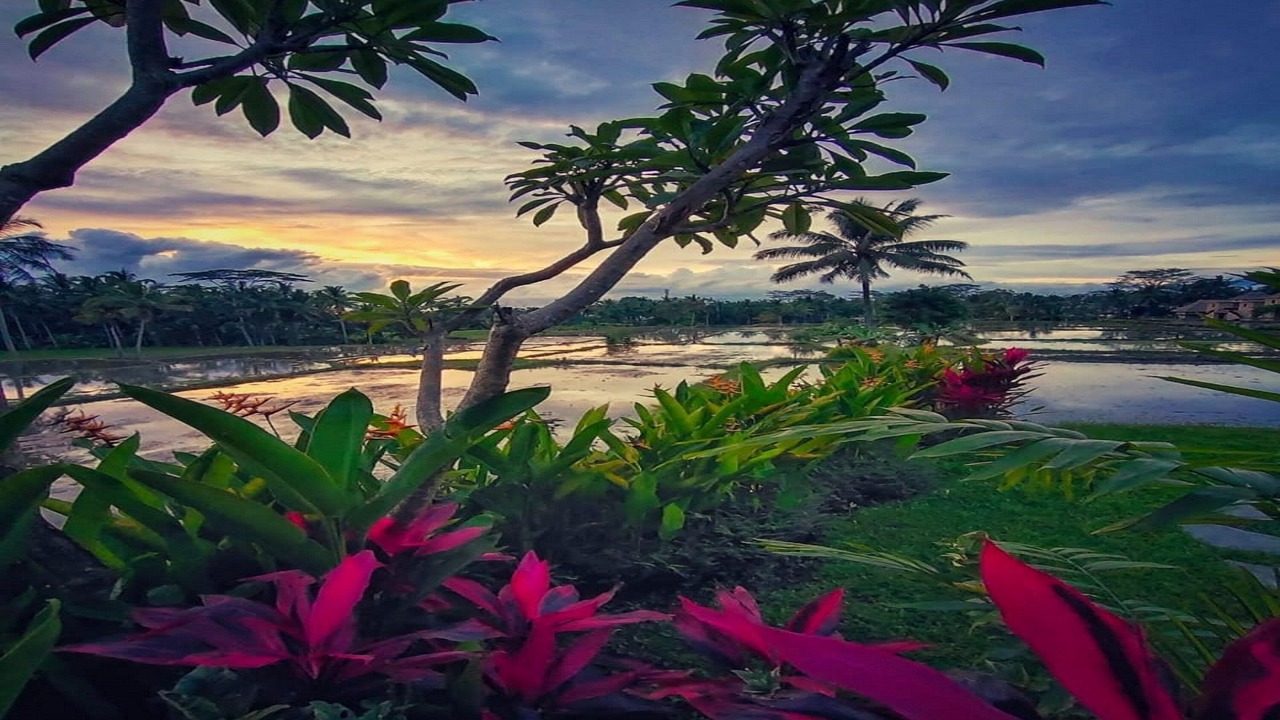 Photo of Outdoor in Pejeng Kawan