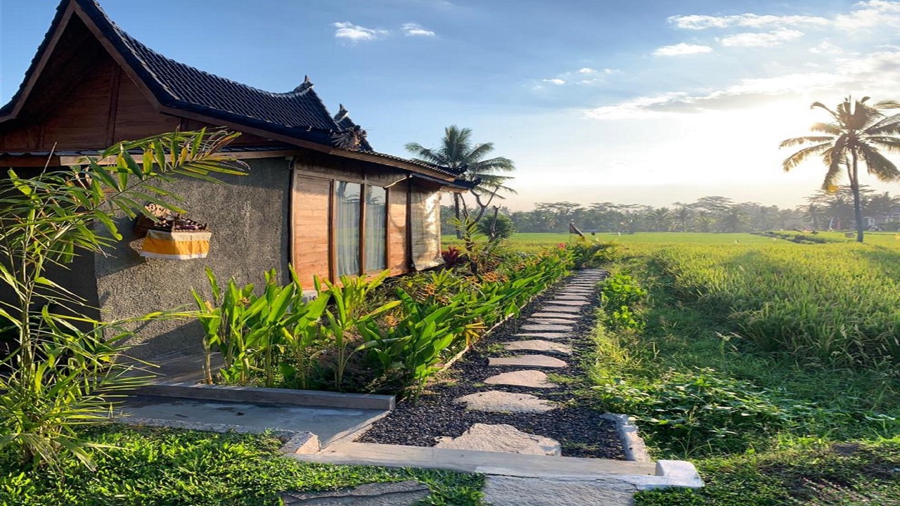 Photo of Outdoor in Pejeng Kawan