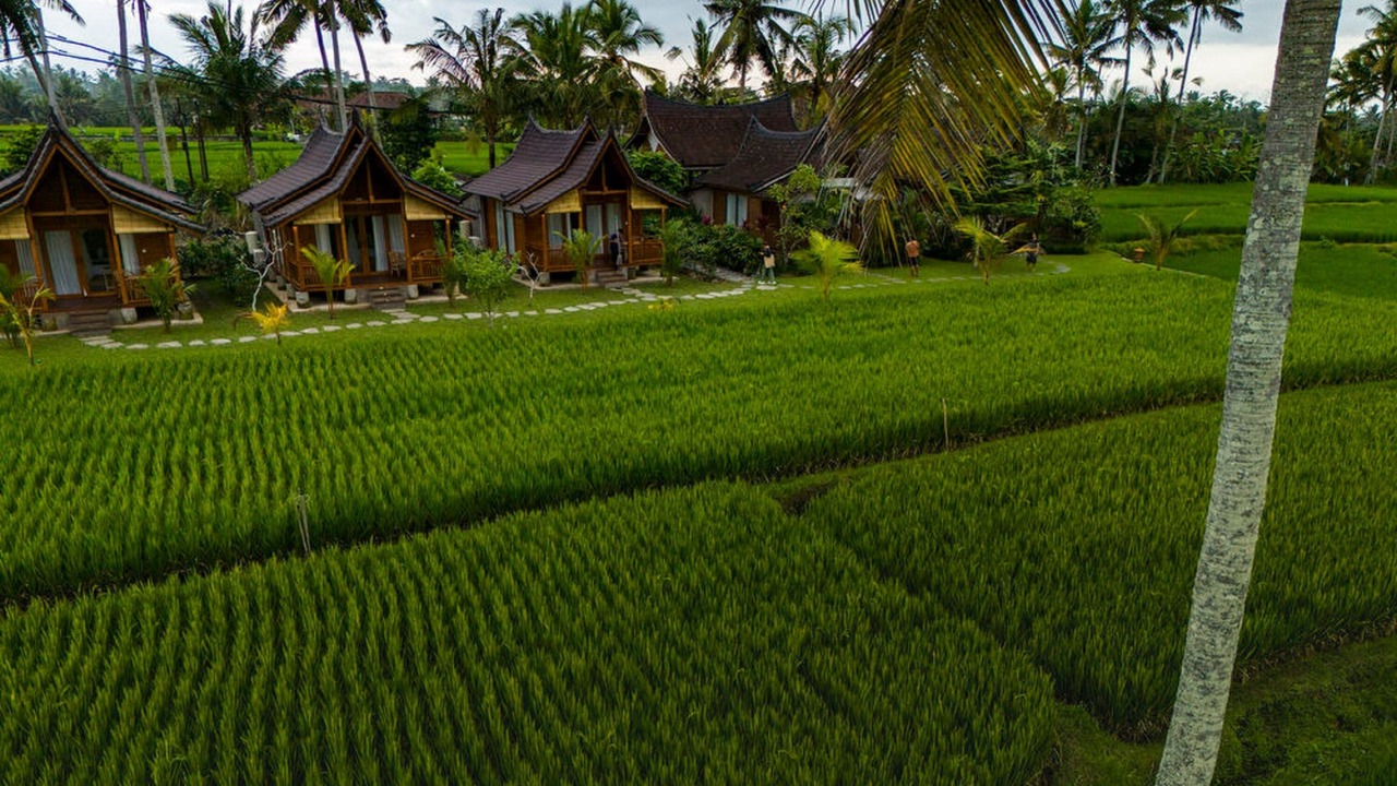 Photo of Outdoor in Pejeng Kawan