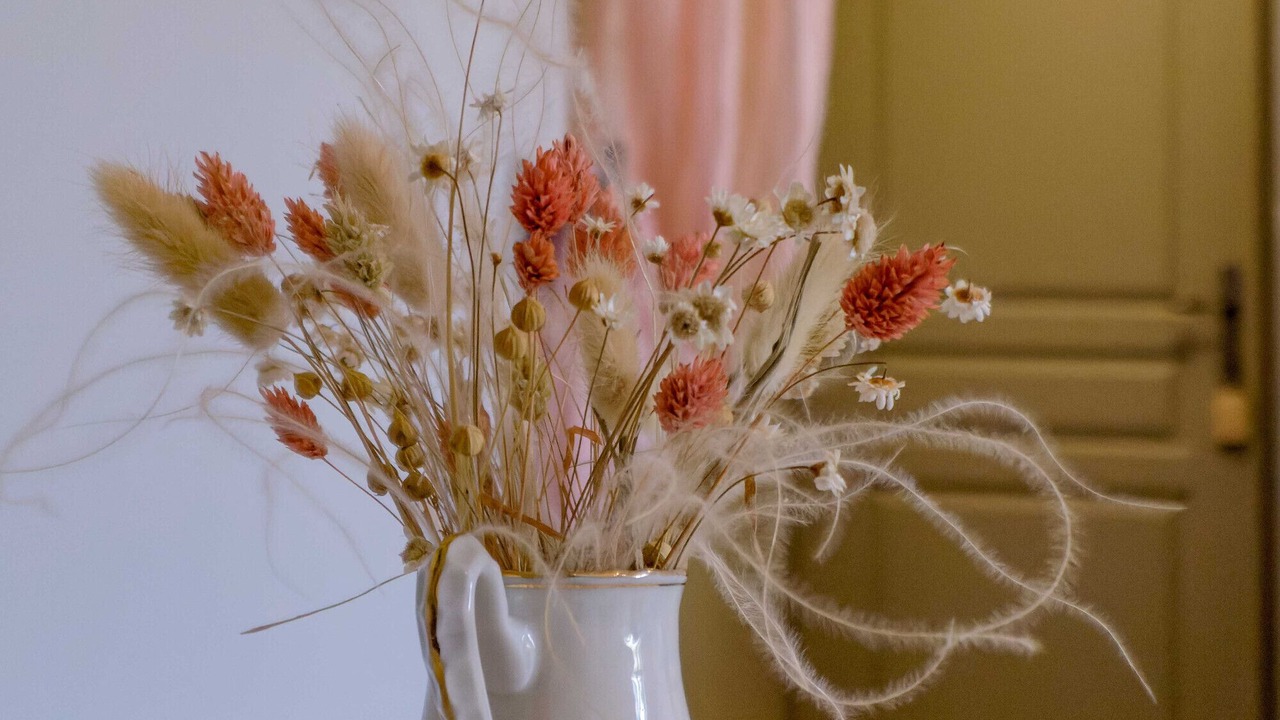 Photo of Others in Chateauneuf-de-Gadagne