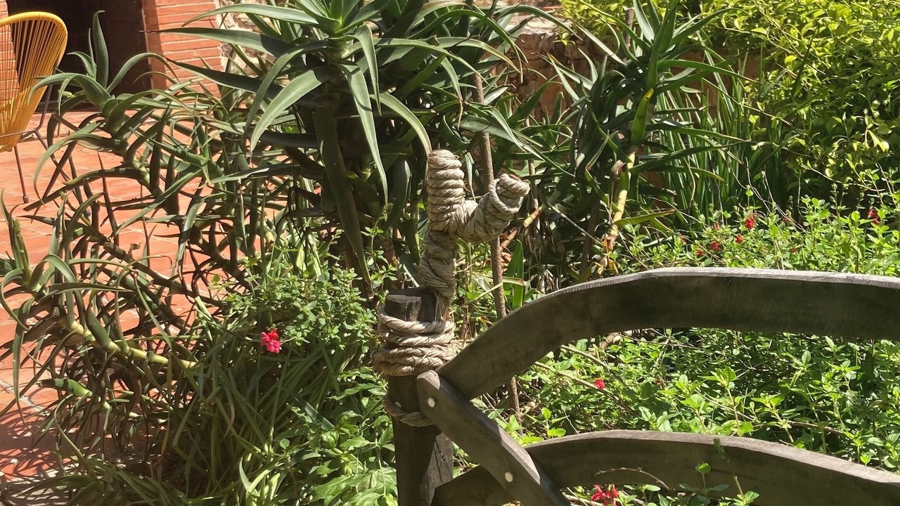 Photo of Outdoor in Reynes