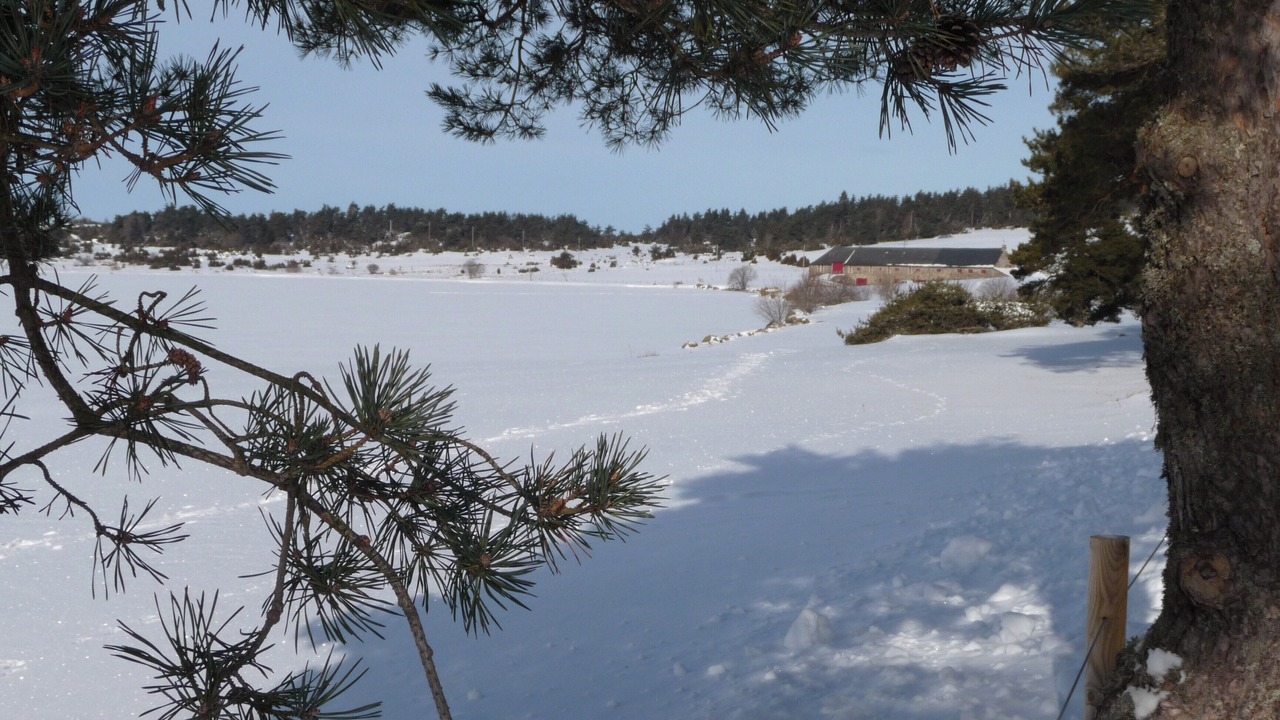 Photo of Outdoor in Neussargues en Pinatelle