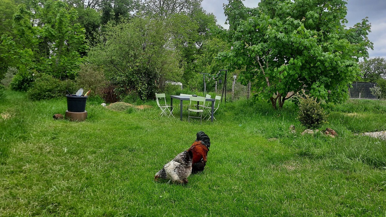 Photo of Outdoor in Pampelonne