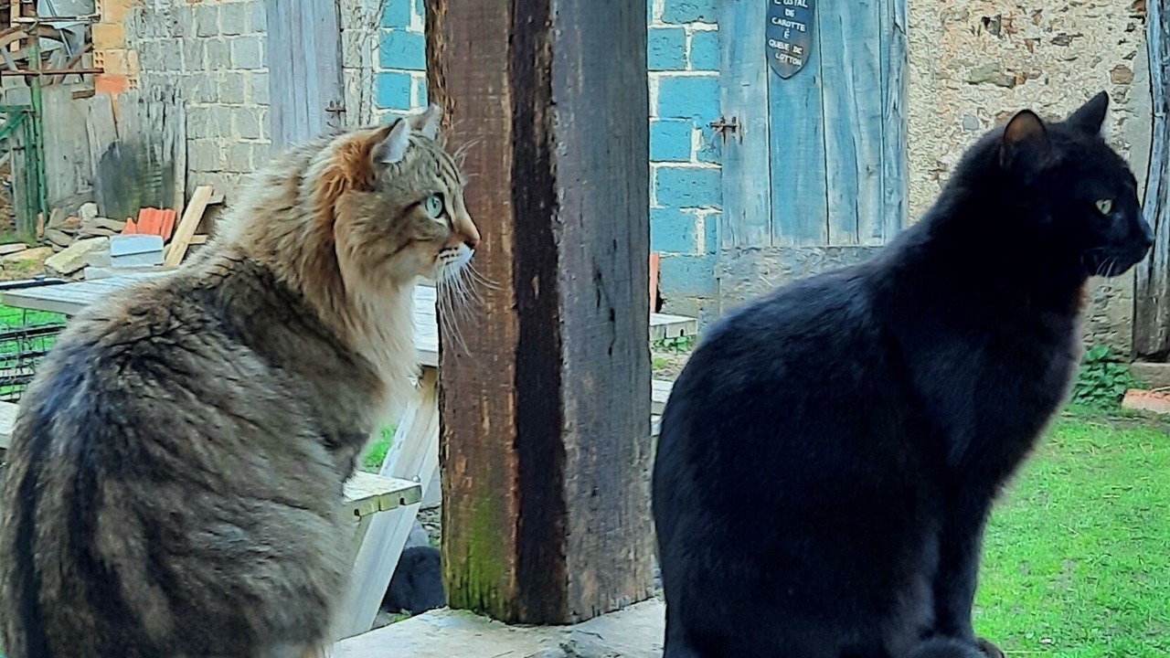 Photo of Outdoor in Pampelonne